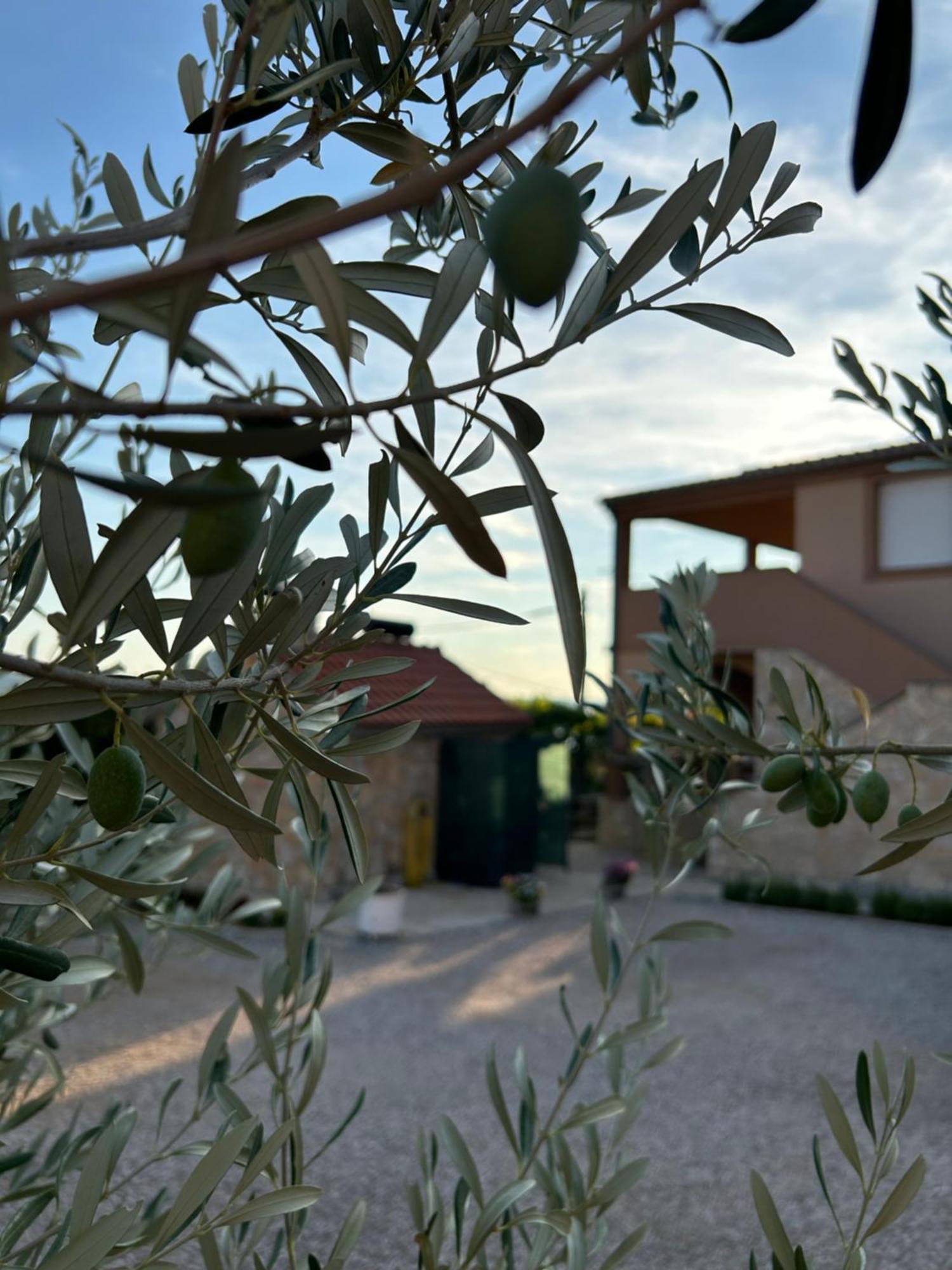 Danisacroatia Appartement Maslenica Buitenkant foto